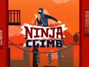 Ninja Climb Arcade Game